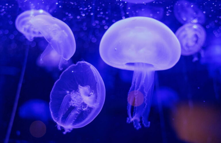 Bergen Aquarium - Best 10 Rainy Day Things to Do in Bergen