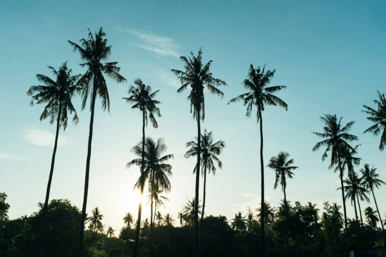 Best 10 Beaches in the Gili Islands - Gili Air