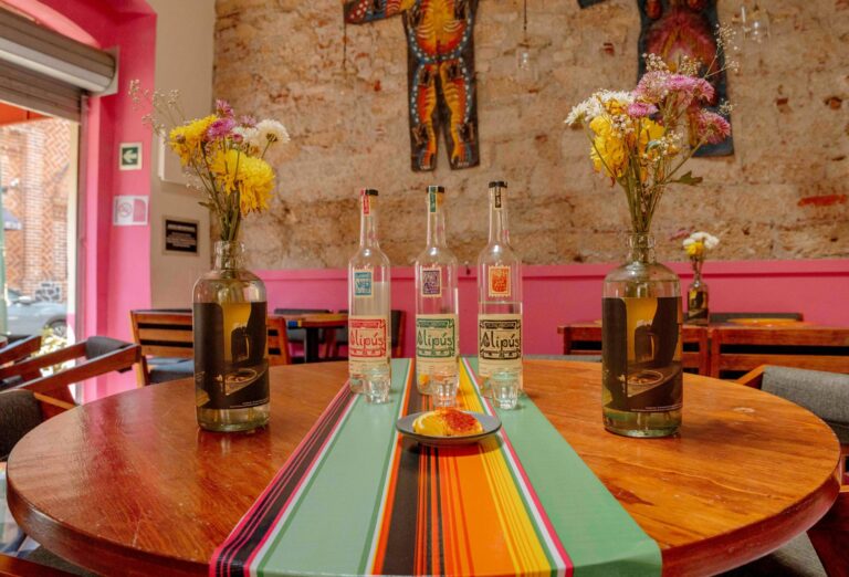 Best 10 Foods You Must Try in Oaxaca City - In Situ Mezcalería