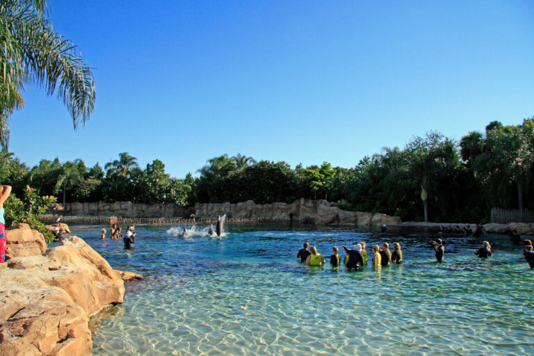 Discovery Cove - Best 10 Family Things to Do in Orlando & the Space Coast