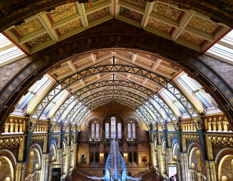 Natural History Museum london - Best 10 Things to Do for Free in London