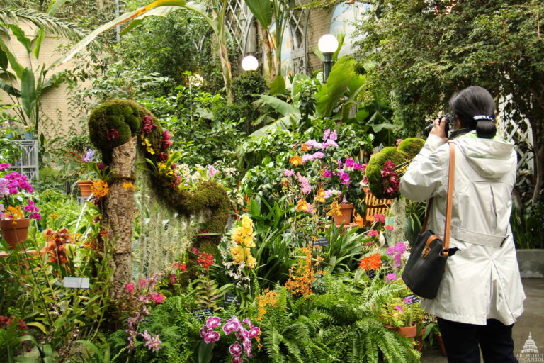 United States Botanic Garden - Best 10 Things to Do for Free in Washington DC