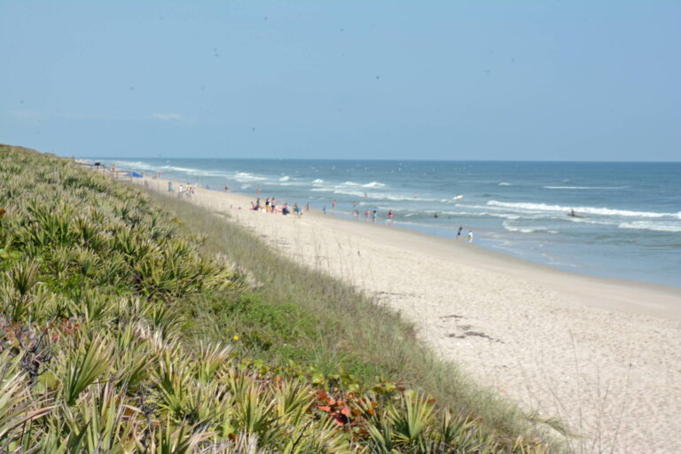 canaveral seashore - Best 10 Family Things to Do in Orlando & the Space Coast