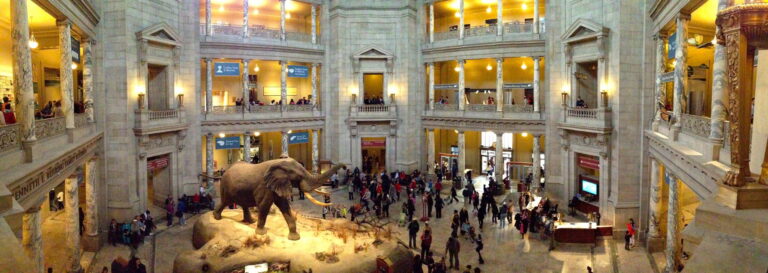 national museum of natural history washington - Best 10 Things to Do for Free in Washington DC