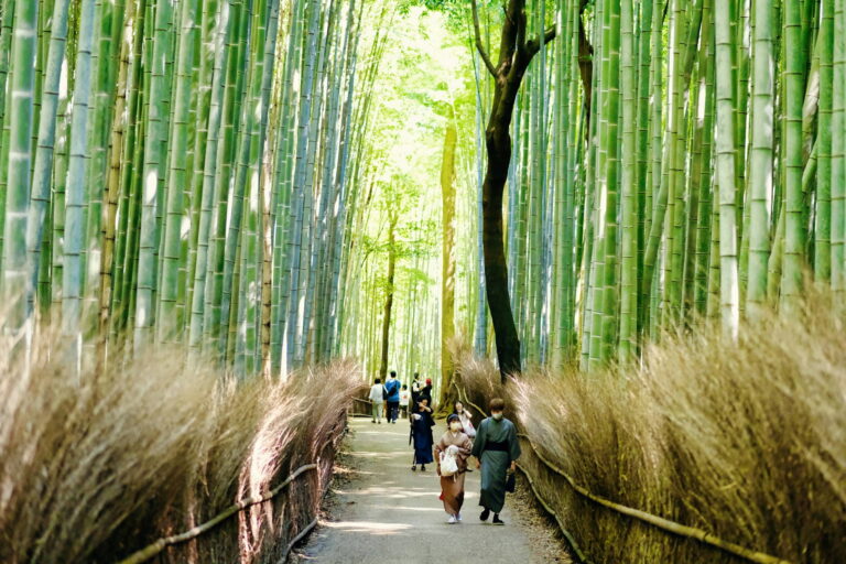 Arashiyama Bamboo Grove - Best 10 Couples Things to Do in Kyoto
