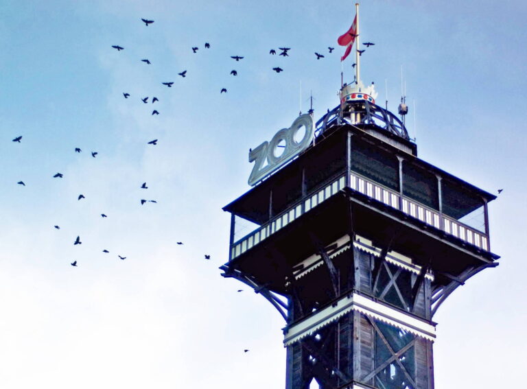 Copenhagen Zoo - Best 10 Family Things to Do in Copenhagen