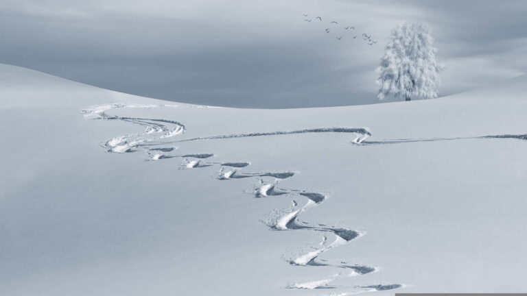 Hakuba Backcountry - Best 10 Ski Resorts in Hakuba Valley