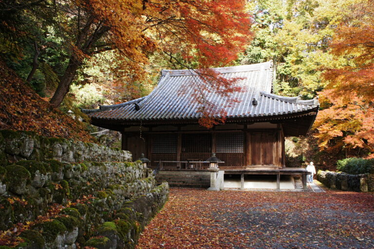 Otagi Nenbutsu-ji Temple - Best 10 Couples Things to Do in Kyoto