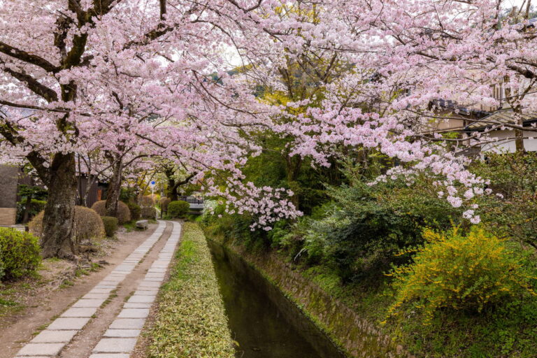 Philosopher’s Path - Best 10 Couples Things to Do in Kyoto