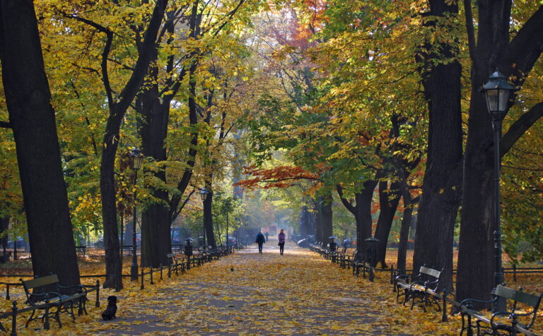 Planty Park Ring - Best 10 Things to Do in Krakow on a Budget