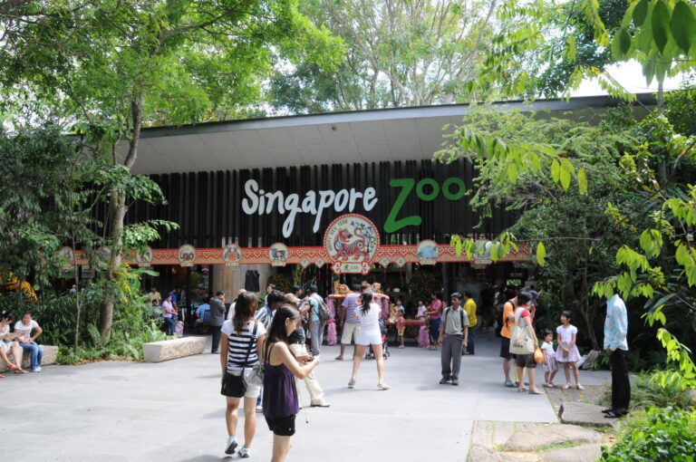 Singapore Zoo - Best 10 Family Things to Do in Singapore
